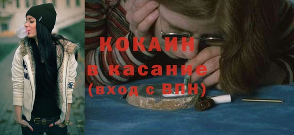 ПСИЛОЦИБИНОВЫЕ ГРИБЫ Михайлов