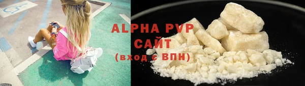 ПСИЛОЦИБИНОВЫЕ ГРИБЫ Михайлов