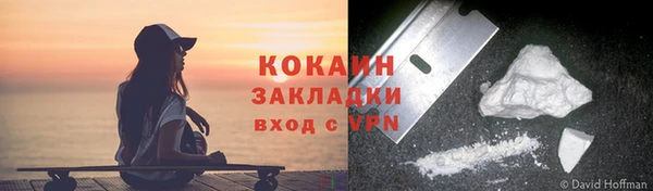ГАЛЛЮЦИНОГЕННЫЕ ГРИБЫ Михайловск