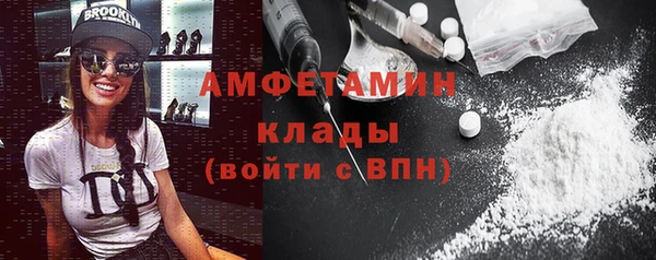 ПСИЛОЦИБИНОВЫЕ ГРИБЫ Михайлов