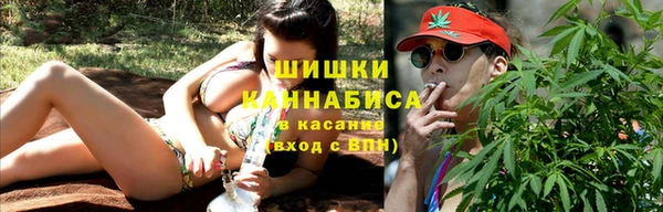 ГАЛЛЮЦИНОГЕННЫЕ ГРИБЫ Михайловск