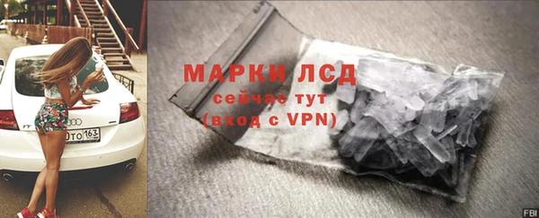 ПСИЛОЦИБИНОВЫЕ ГРИБЫ Михайлов