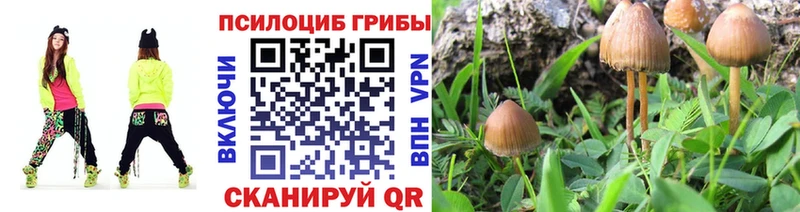 МЕГА онион  купить наркотики цена  Краснокамск  Псилоцибиновые грибы Psilocybine cubensis 