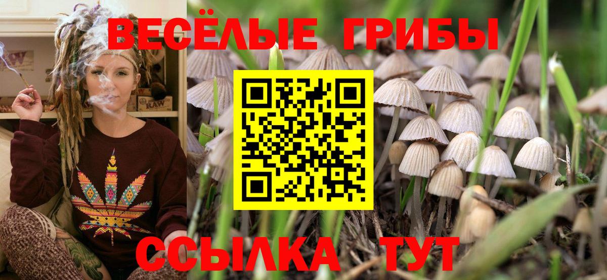 Псилоцибиновые грибы Cubensis  Псилоцибиновые грибы Psilocybe  Краснокамск  Вход с VPN 