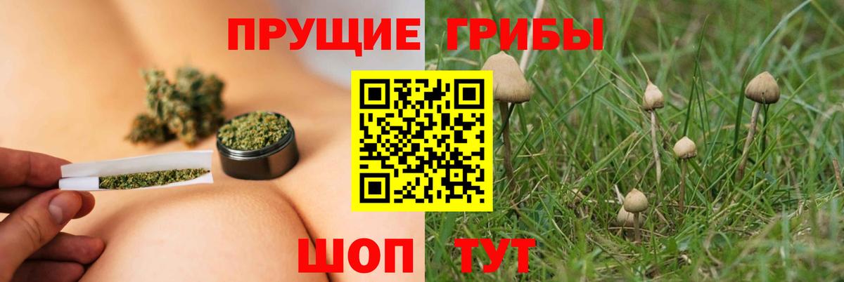 Галлюциногенные грибы прущие грибы Краснокамск